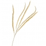 Декоративная ветка, бежевая (8725-029)