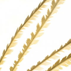 Декоративна гілка, бежева (8725-029)