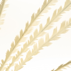 Декоративна гілка, біла (8725-030)