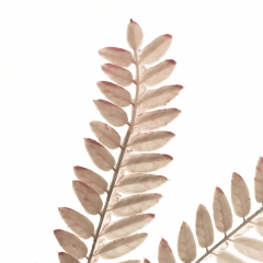 Декоративна гілка, сіра (8725-032)