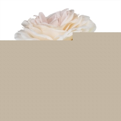 Роза "Трогательность "бледно-розовая, 75 см¶ (6018-056)