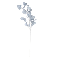 Евкаліпт "Чарівність", блакитний, 105 см (6018-080)