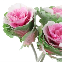 Брасика "Грація", рожева (6018-081)