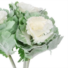 Брасика "Грація", біла (6018-082)