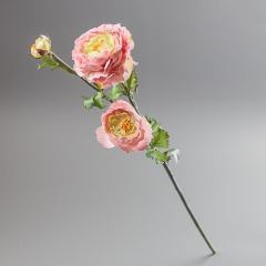 Ранункулюс рожевий, 73 см (091F/pink)