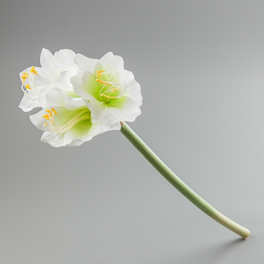 Амариллис (61 см) (098F/white)