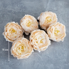 Головка півонії, кремова, 11 см (8502-002/2)