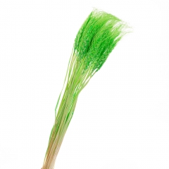 Пшениця Салатова, стабілізована (8213-003)