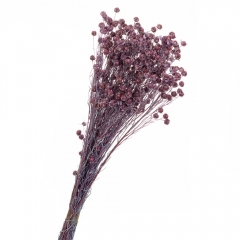 Сухоцвет Лен Фиолет, стабилизированные (8213-006)