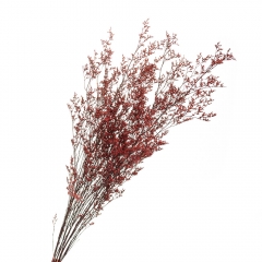 Декоративная ветка Бордо, стабилизированная (8213-011)