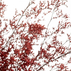 Декоративная ветка Бордо, стабилизированная (8213-011)