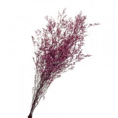Декоративна гілка Бузкова, стабілізована (8213-013)