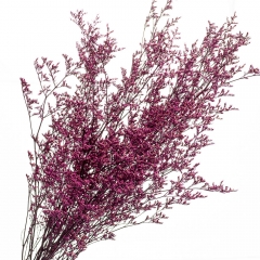 Декоративна гілка Бузкова, стабілізована (8213-013)