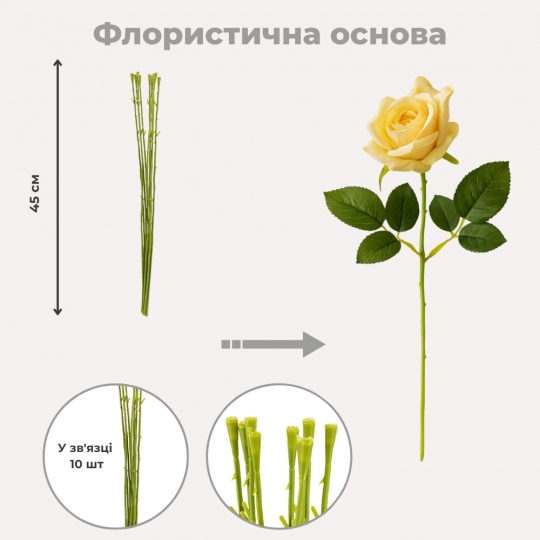 Флористина основа 