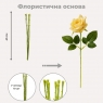 Флористина основа 