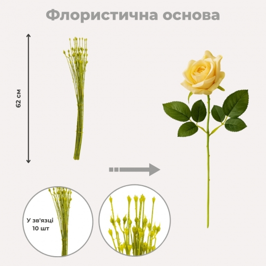 Флористина основа 