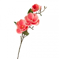 Магнолия, красная (8721-006)