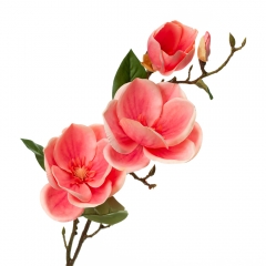 Магнолия, красная (8721-006)