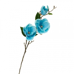 Магнолія, блакитна (8721-008)