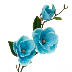 Магнолія, блакитна (8721-008)