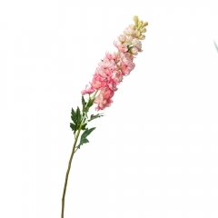 Люпин, рожевий (8721-017)