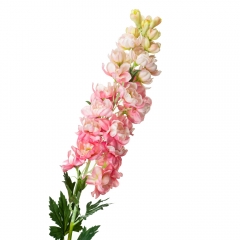 Люпин, рожевий (8721-017)