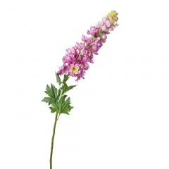 Люпин, бузковий (8721-018)