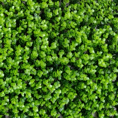 Декоративна панель зі штучної зелені "Травка", 40*60 см (9224-002)