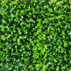Декоративна панель зі штучної зелені "Самшит", 40*60 см (9224-006)