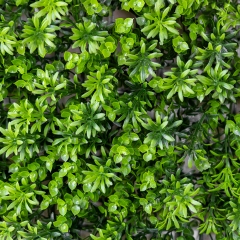 Декоративна панель зі штучної зелені "Травка", 40*60 см (9224-007)