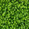 Декоративная панель из искусственной зелени 