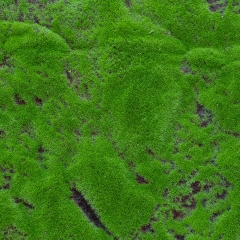 Декоративна панель зі штучного моху, 100*100 см (9224-010)