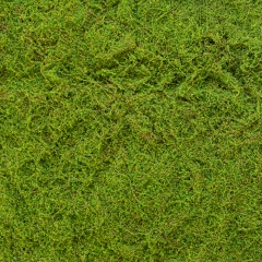 Декоративна панель зі штучного моху, 100*100 см (9224-011)