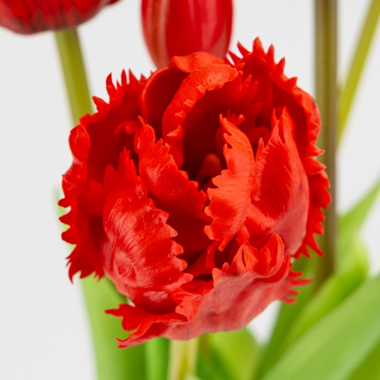 Букет латексних тюльпанів, 5 бутонів, червоний, 44 см (2026-004/red)