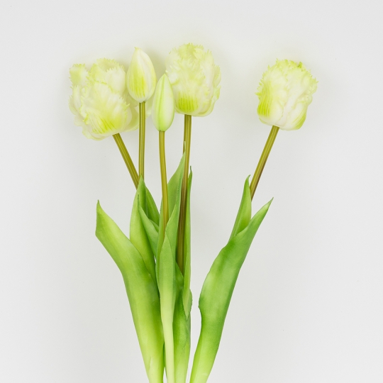 Букет латексних тюльпанів, 5 бутонів, біло-зелений, 44 см (2026-004/white) Букет латексних тюльпанів, 5 бутонів, біло-зелений, 44 см (2026-004/white)