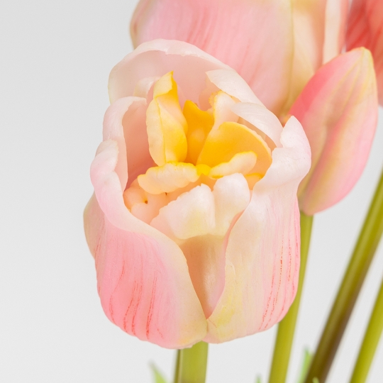 Букет латексних тюльпанів, 5 бутонів, ніжно-рожевий, 49 см (2026-005/pink) Букет латексних тюльпанів, 5 бутонів, ніжно-рожевий, 49 см (2026-005/pink)