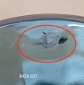 Келих для вина 