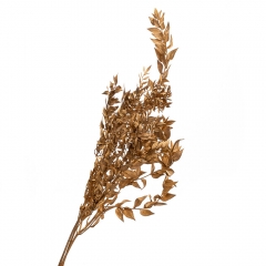 Рускус Золото, стабілізований (8213-026)