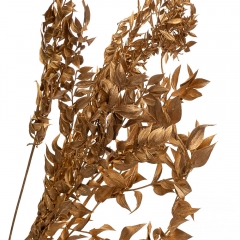 Рускус Золото, стабілізований (8213-026)