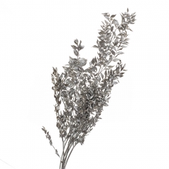 Рускус Срібло, стабілізований (8213-027)