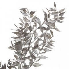 Рускус Срібло, стабілізований (8213-027)