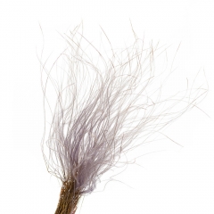 Ковилаа Фіолет, стабілізований (8213-028)