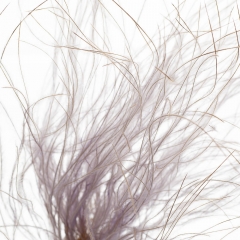 Ковилаа Фіолет, стабілізований (8213-028)