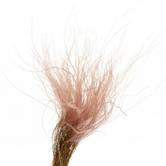 Ковилаа Персикова, стабілізований (8213-029)