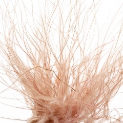 Ковилаа Персикова, стабілізований (8213-029)