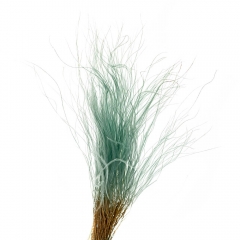 Ковилаа Зелена, стабілізований (8213-031)