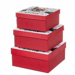 Набір з 3 коробок "Веселі друзі" 20*20*9,5 (8211-066)