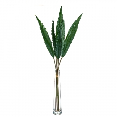 Листя евкаліпта (8414-025)