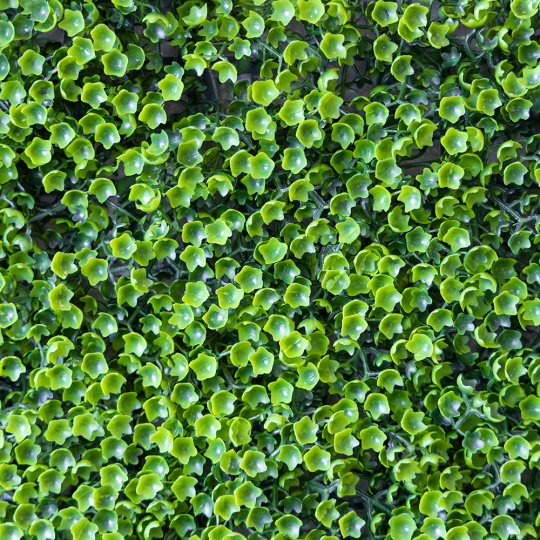 Штучний фітомодуль 