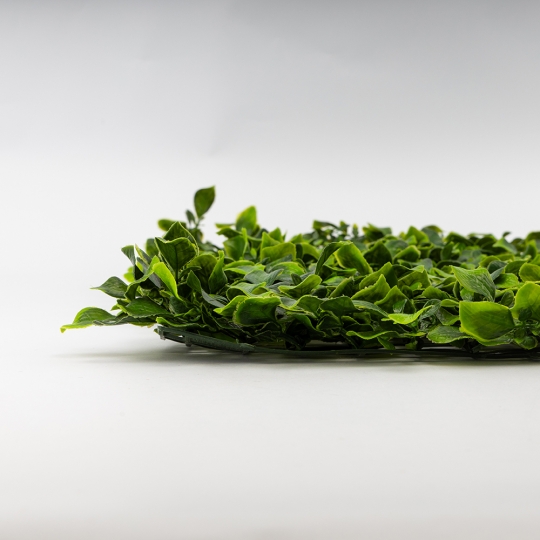 Искусственный фитомодуль 